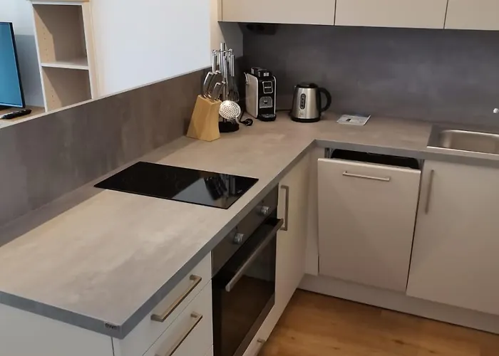 公寓 Ferienwohnung Thaya Thaya